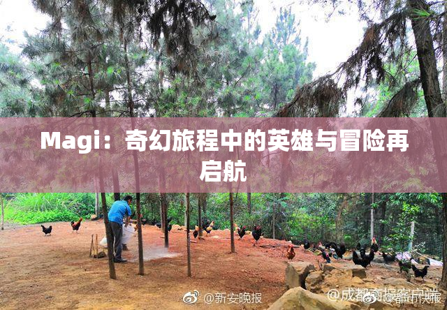 Magi：奇幻旅程中的英雄与冒险再启航