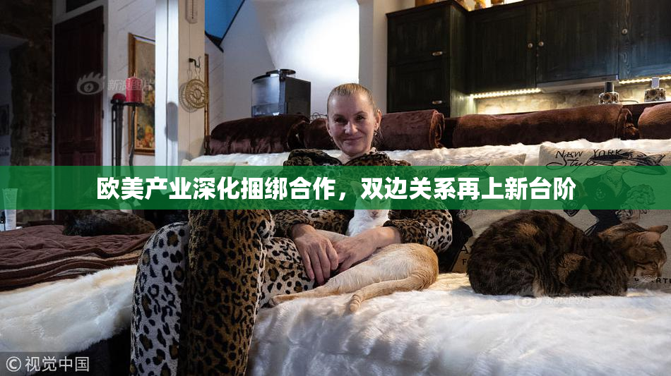 欧美产业深化捆绑合作，双边关系再上新台阶