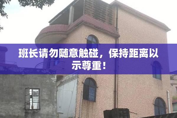 班长请勿随意触碰，保持距离以示尊重！