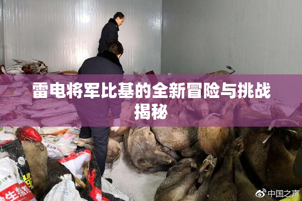 雷电将军比基的全新冒险与挑战揭秘
