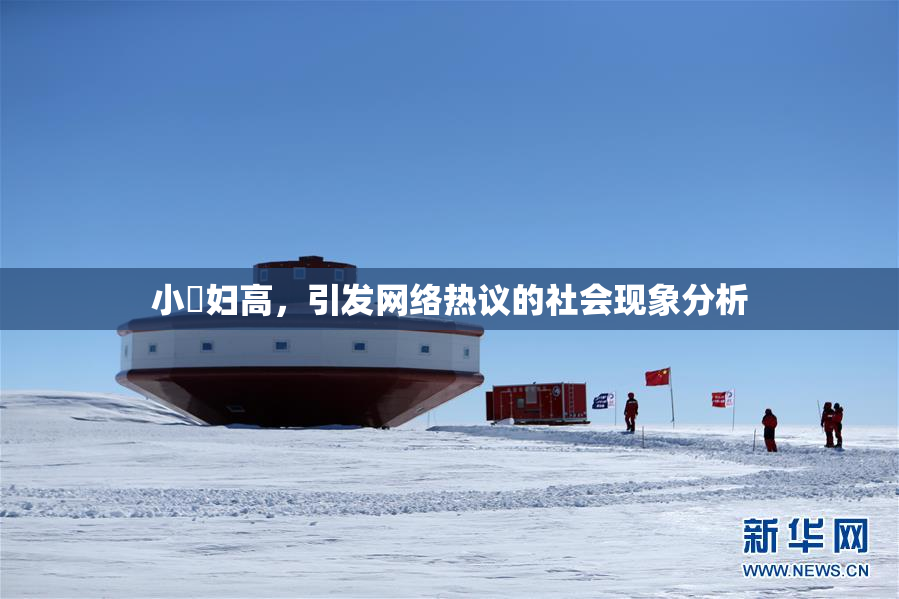 小婬妇高，引发网络热议的社会现象分析