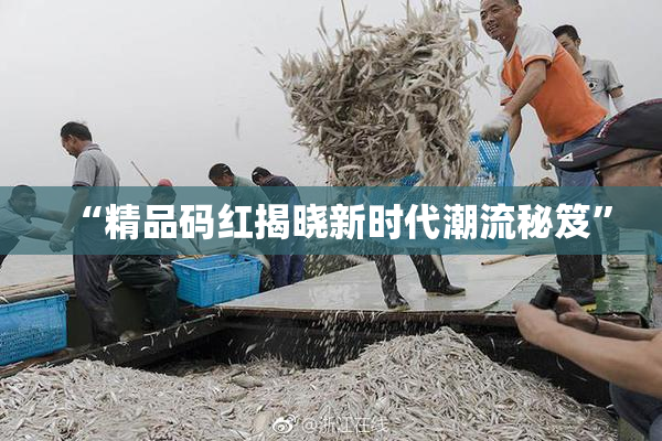 “精品码红揭晓新时代潮流秘笈”