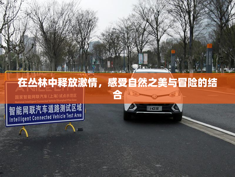 在丛林中释放激情，感受自然之美与冒险的结合