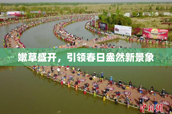 嫩草盛开，引领春日盎然新景象