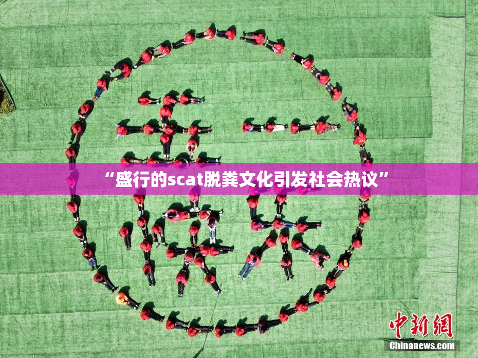 “盛行的scat脱粪文化引发社会热议”