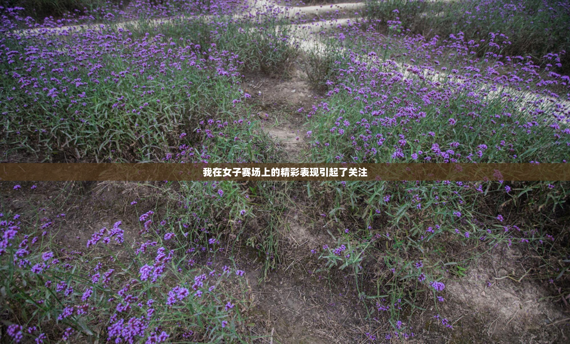 我在女子赛场上的精彩表现引起了关注