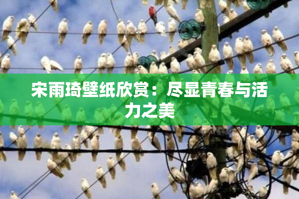 宋雨琦壁纸欣赏：尽显青春与活力之美