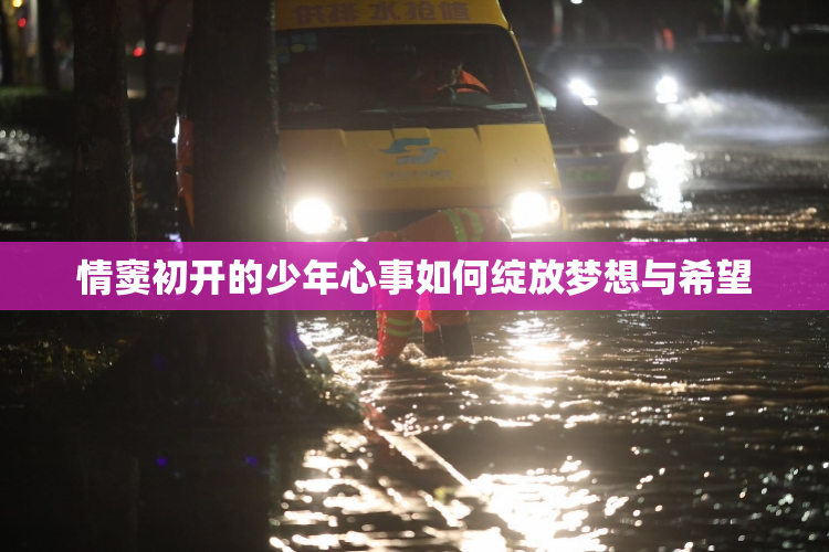 情窦初开的少年心事如何绽放梦想与希望