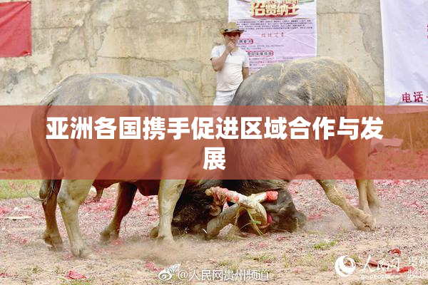 亚洲各国携手促进区域合作与发展