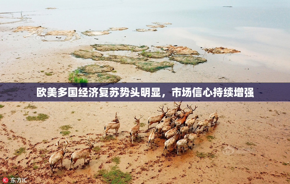 欧美多国经济复苏势头明显，市场信心持续增强