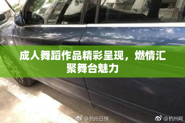 成人舞蹈作品精彩呈现，燃情汇聚舞台魅力