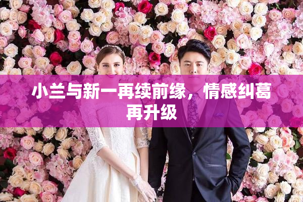小兰与新一再续前缘，情感纠葛再升级