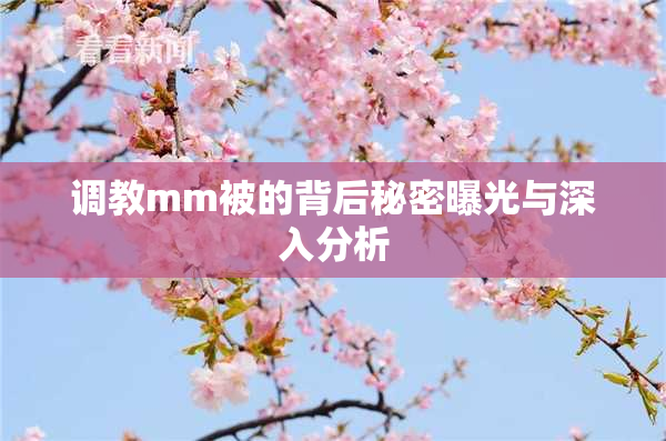调教mm被的背后秘密曝光与深入分析
