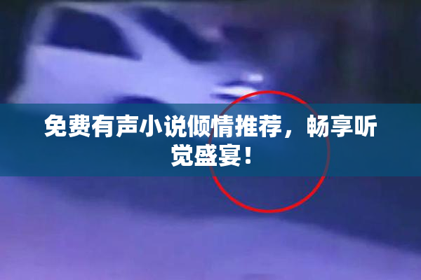 免费有声小说倾情推荐，畅享听觉盛宴！