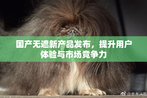 国产无遮新产品发布，提升用户体验与市场竞争力