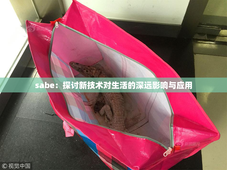 sabe：探讨新技术对生活的深远影响与应用