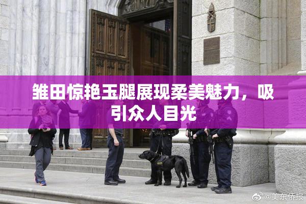 雏田惊艳玉腿展现柔美魅力，吸引众人目光