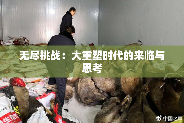 无尽挑战：大重塑时代的来临与思考