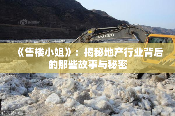 《售楼小姐》：揭秘地产行业背后的那些故事与秘密