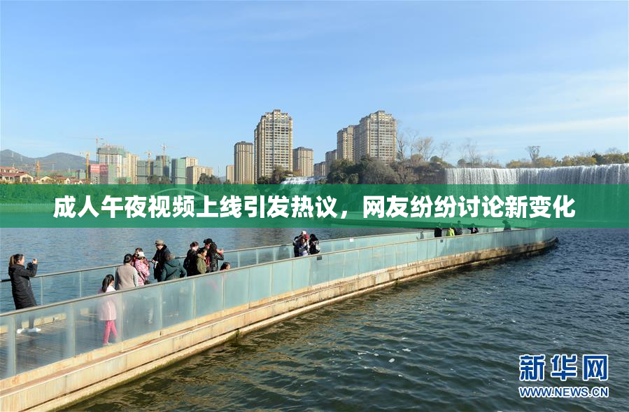 成人午夜视频上线引发热议，网友纷纷讨论新变化