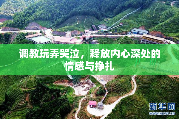 调教玩弄哭泣，释放内心深处的情感与挣扎