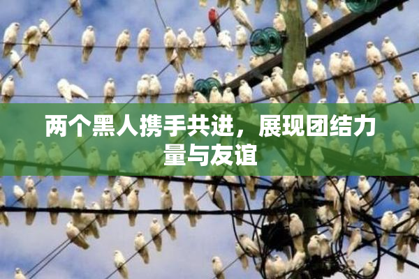两个黑人携手共进，展现团结力量与友谊