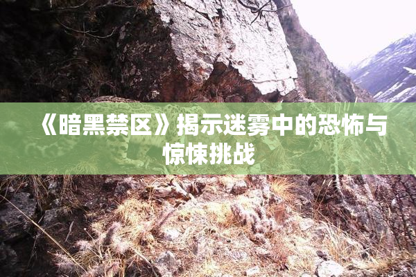 《暗黑禁区》揭示迷雾中的恐怖与惊悚挑战