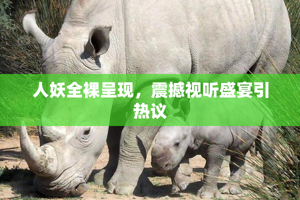人妖全裸呈现，震撼视听盛宴引热议