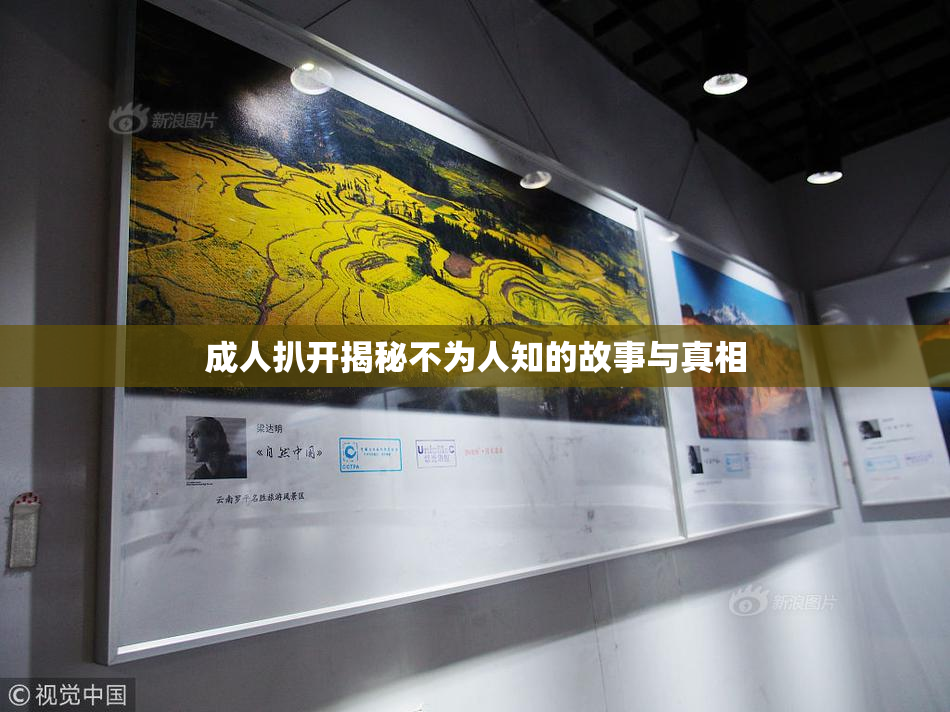 成人扒开揭秘不为人知的故事与真相