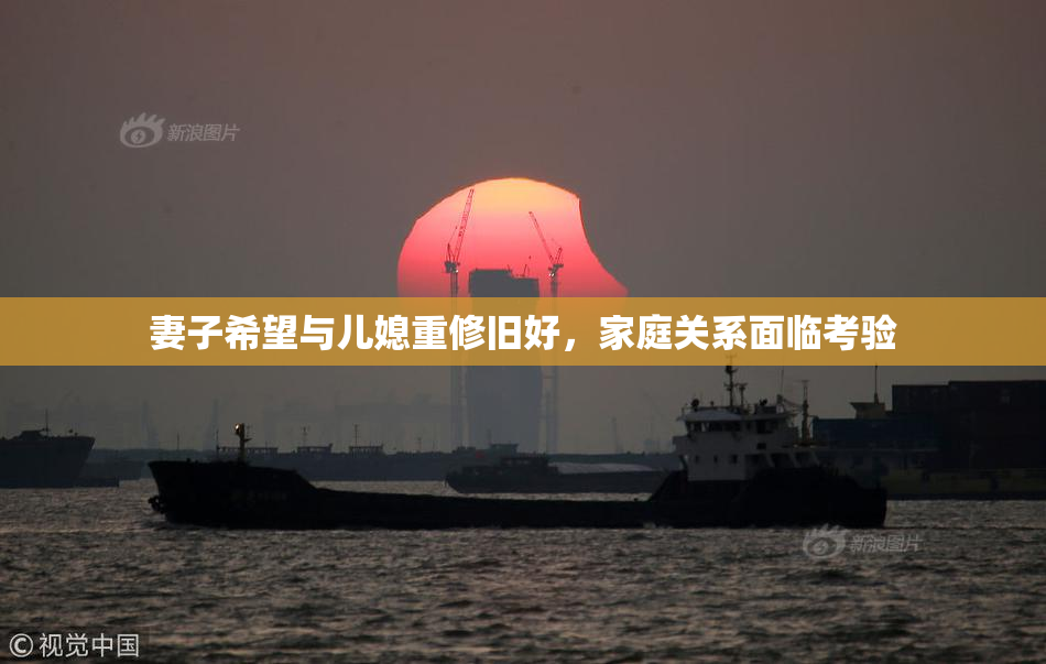 妻子希望与儿媳重修旧好，家庭关系面临考验