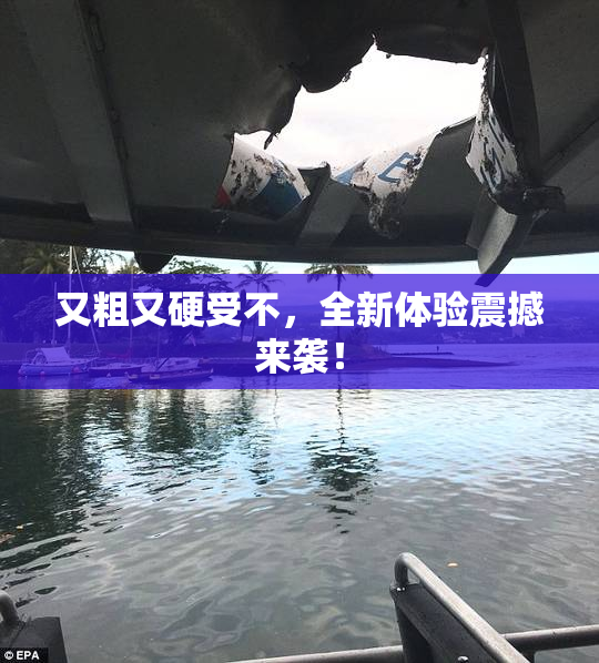 又粗又硬受不，全新体验震撼来袭！
