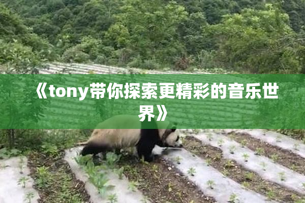 《tony带你探索更精彩的音乐世界》