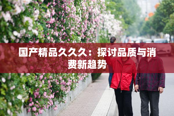国产精品久久久：探讨品质与消费新趋势