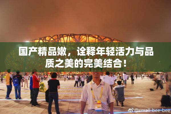 国产精品嫩，诠释年轻活力与品质之美的完美结合！