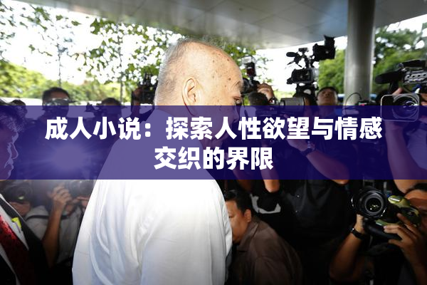 成人小说：探索人性欲望与情感交织的界限