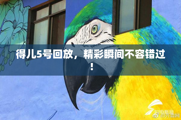 得儿5号回放，精彩瞬间不容错过！