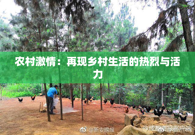 农村激情：再现乡村生活的热烈与活力