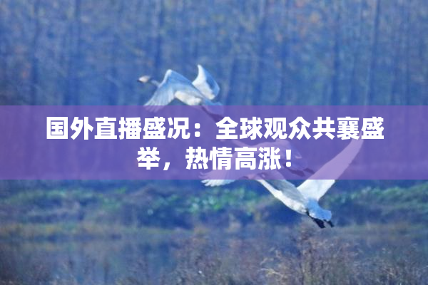国外直播盛况：全球观众共襄盛举，热情高涨！