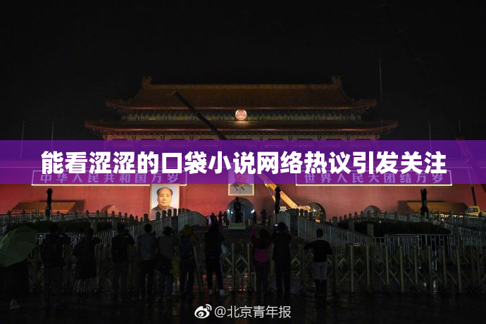 能看涩涩的口袋小说网络热议引发关注