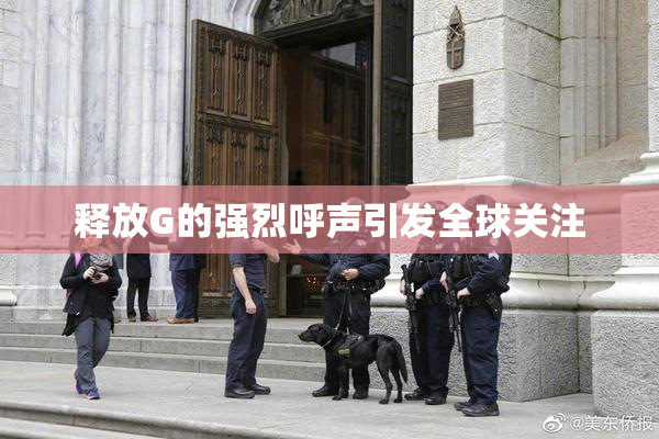 释放G的强烈呼声引发全球关注