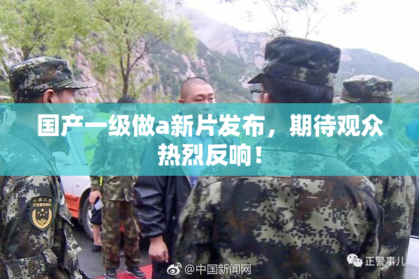 国产一级做a新片发布，期待观众热烈反响！