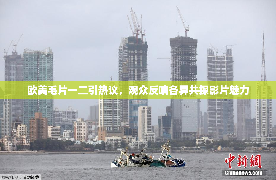 欧美毛片一二引热议，观众反响各异共探影片魅力