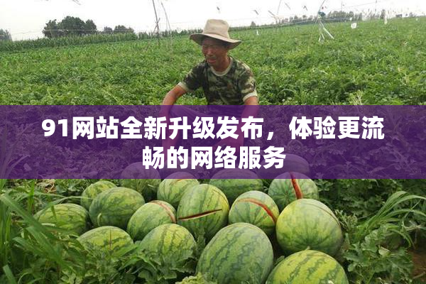 91网站全新升级发布，体验更流畅的网络服务