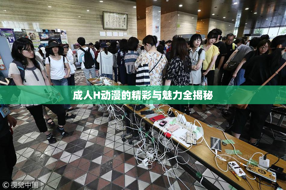 成人H动漫的精彩与魅力全揭秘