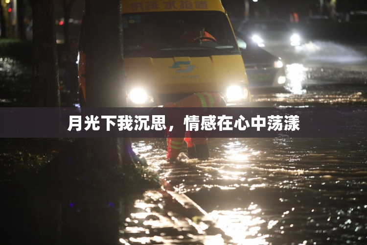 月光下我沉思，情感在心中荡漾