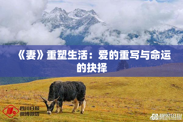 《妻》重塑生活：爱的重写与命运的抉择