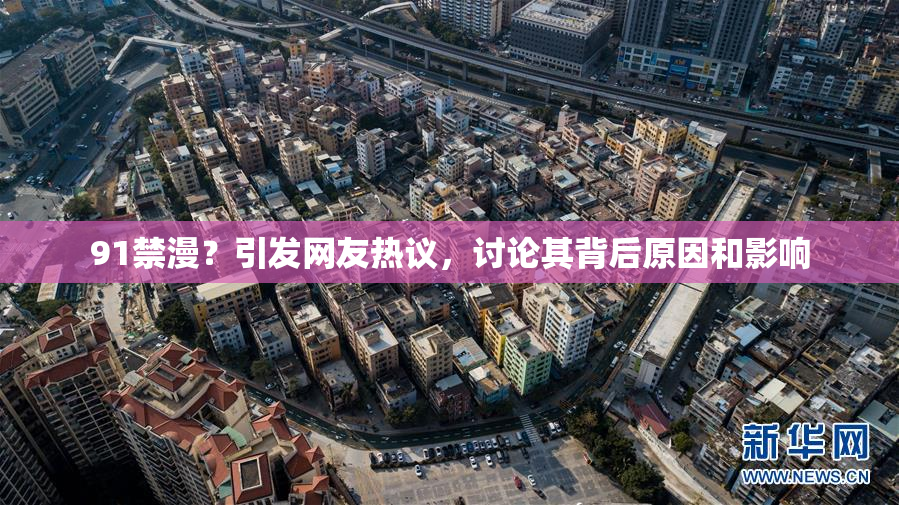91禁漫？引发网友热议，讨论其背后原因和影响