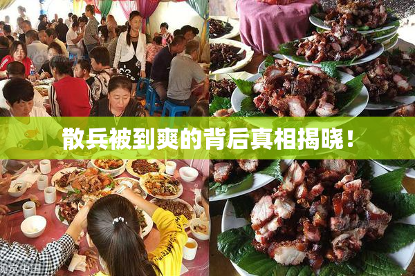 散兵被到爽的背后真相揭晓！