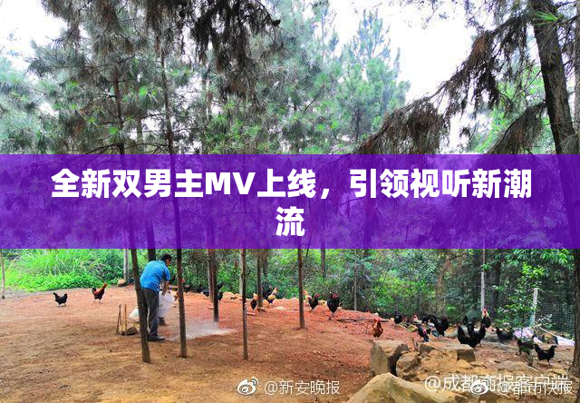 全新双男主MV上线，引领视听新潮流