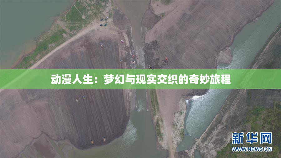 动漫人生：梦幻与现实交织的奇妙旅程